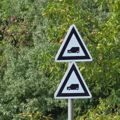 Dwa trójkątne znaki drogowe z symbolem samochodu, wskaźnik w6b, na tle zielonych drzew.